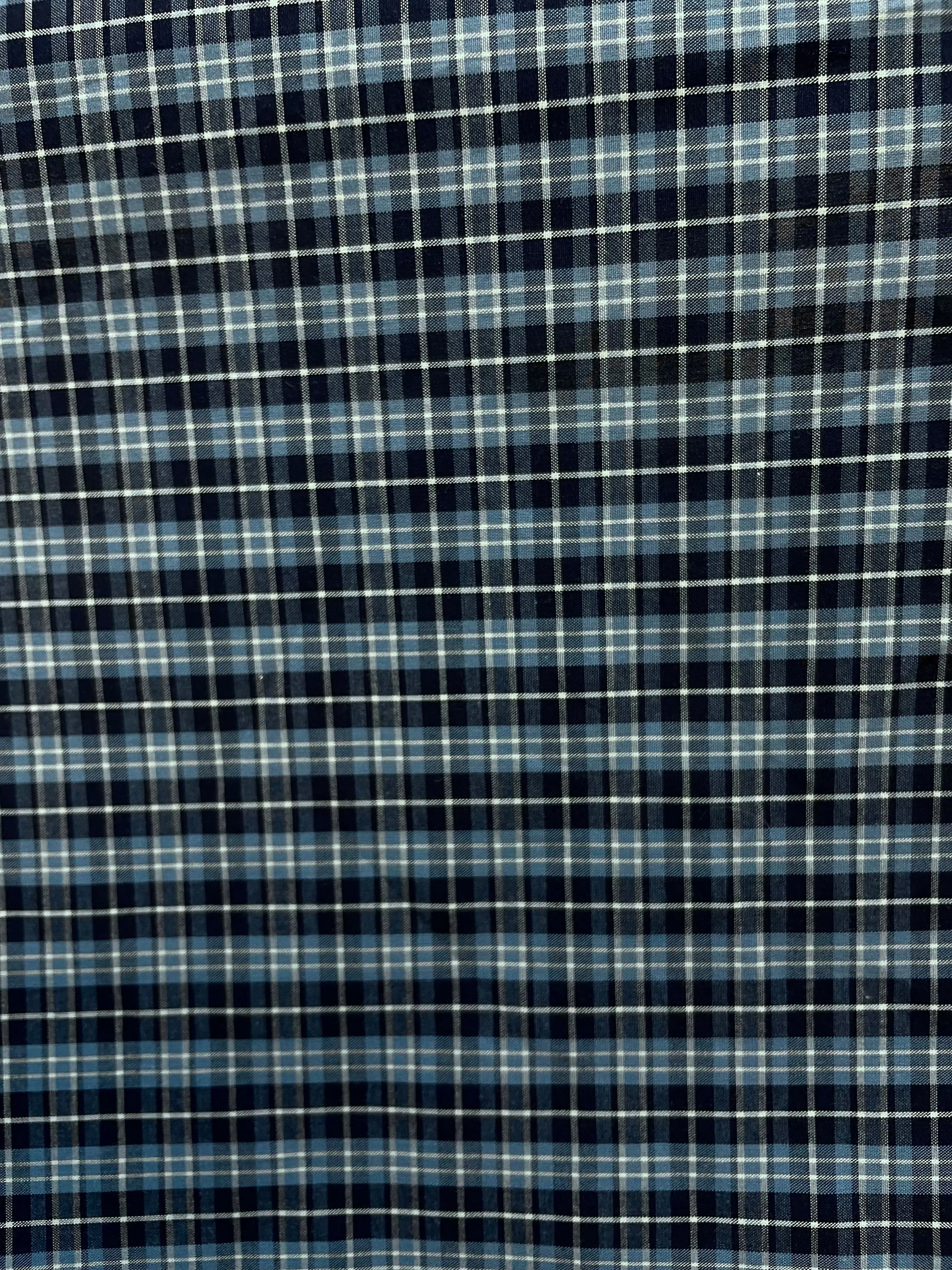Blue & White Small Plaid Cotton Print