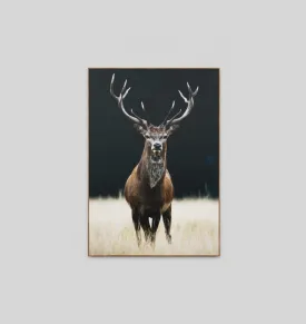 MEADOW DEER · FRAMED CANVAS