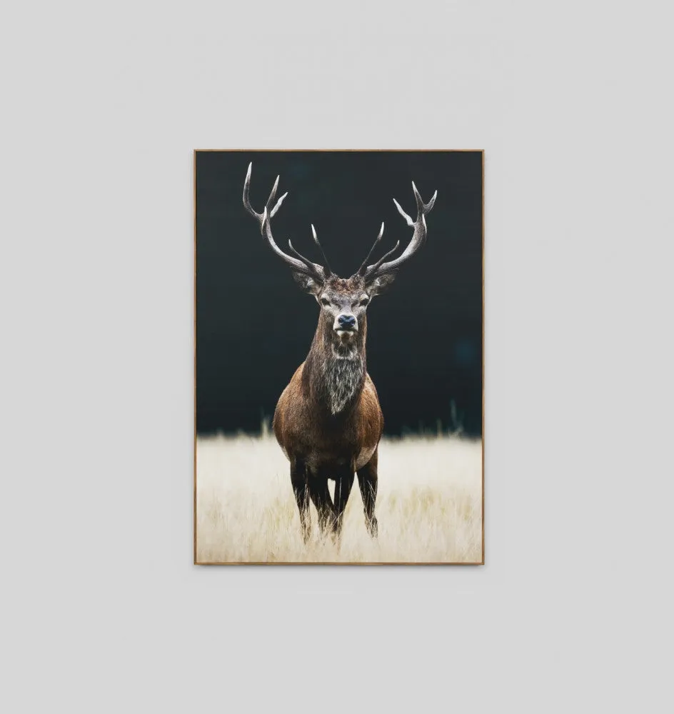 MEADOW DEER · FRAMED CANVAS