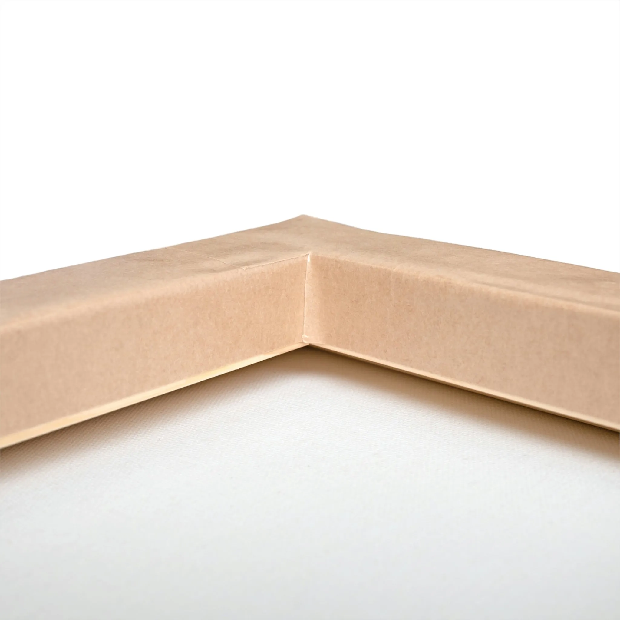 Science Scene Stretched Canvas