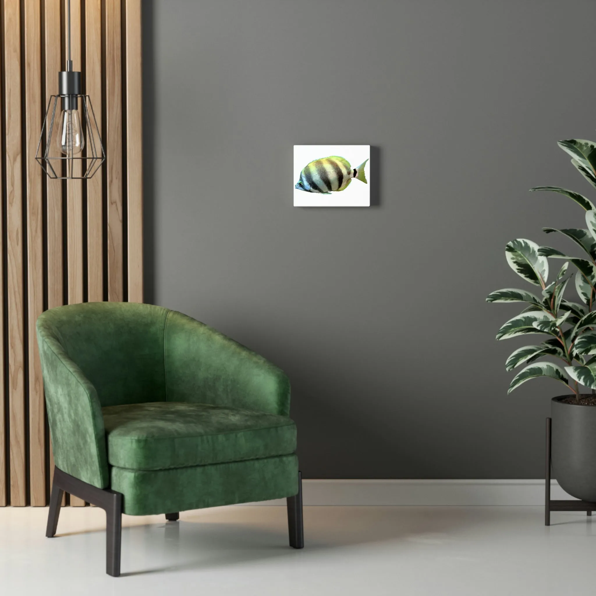 Striped Fish Stretched Canvas